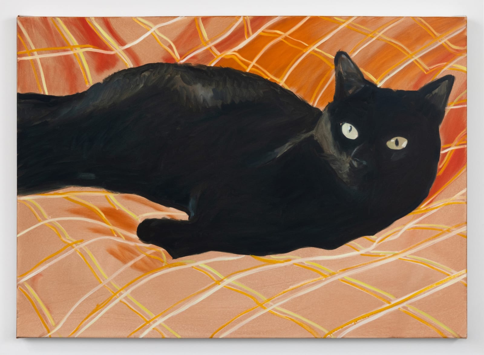 Aglaé Bassens, Catty catty, 2023