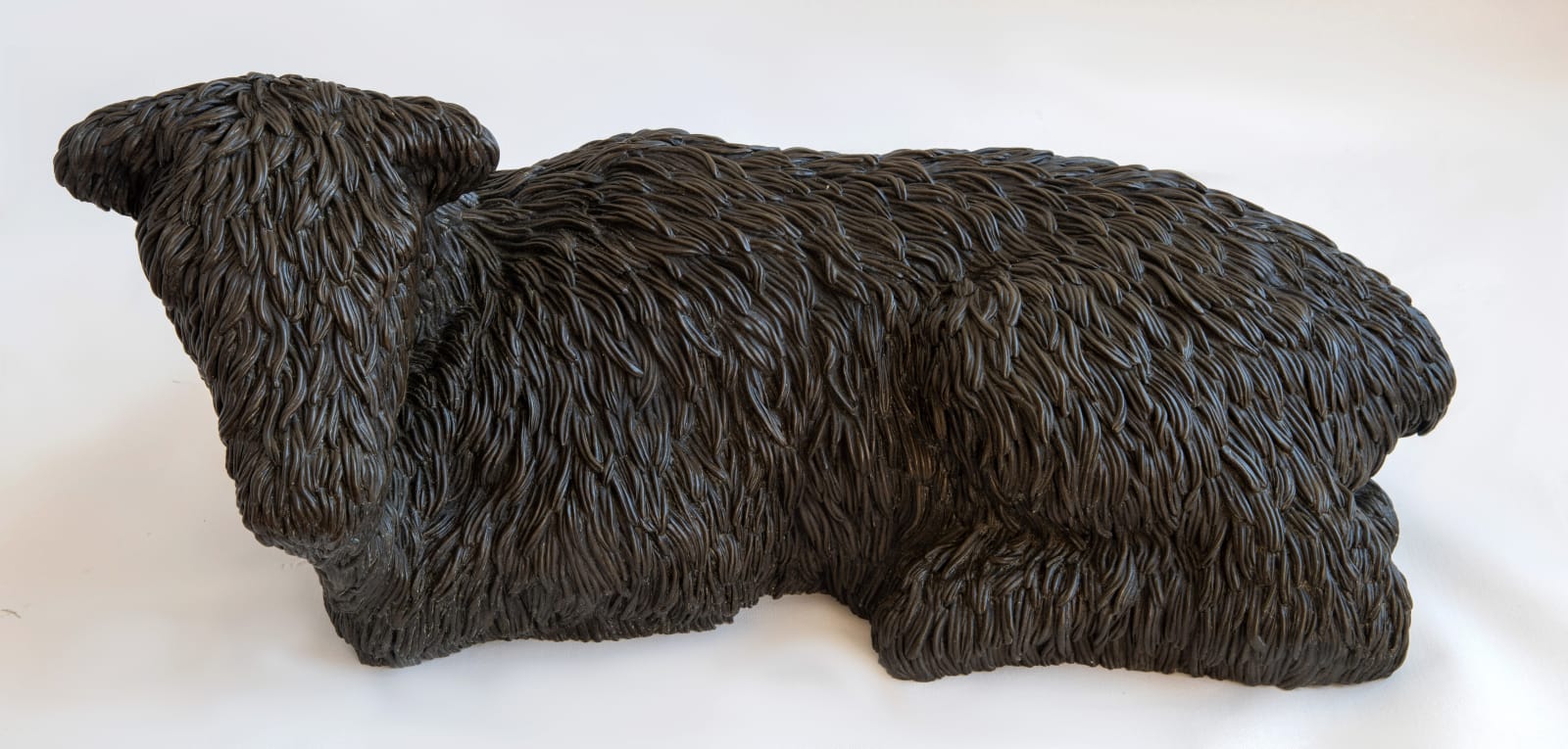 Carl D'Alvia, Calf, 2017