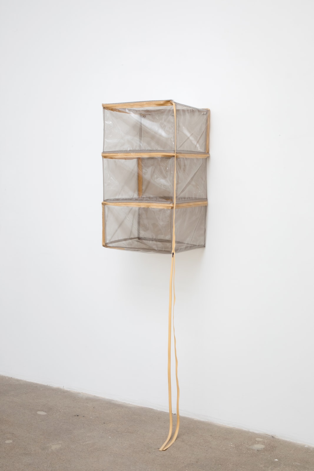 Alina Tenser, Container for Utterance, vacant, tinted blond, 2022