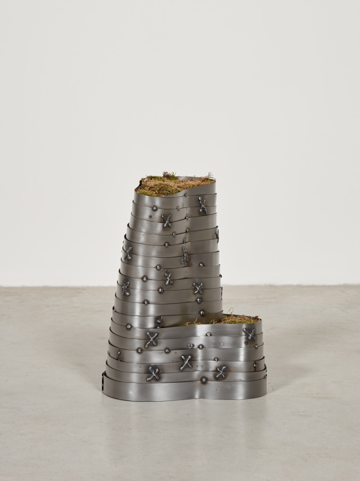 Yoon Shun, Orbit pot, 2024