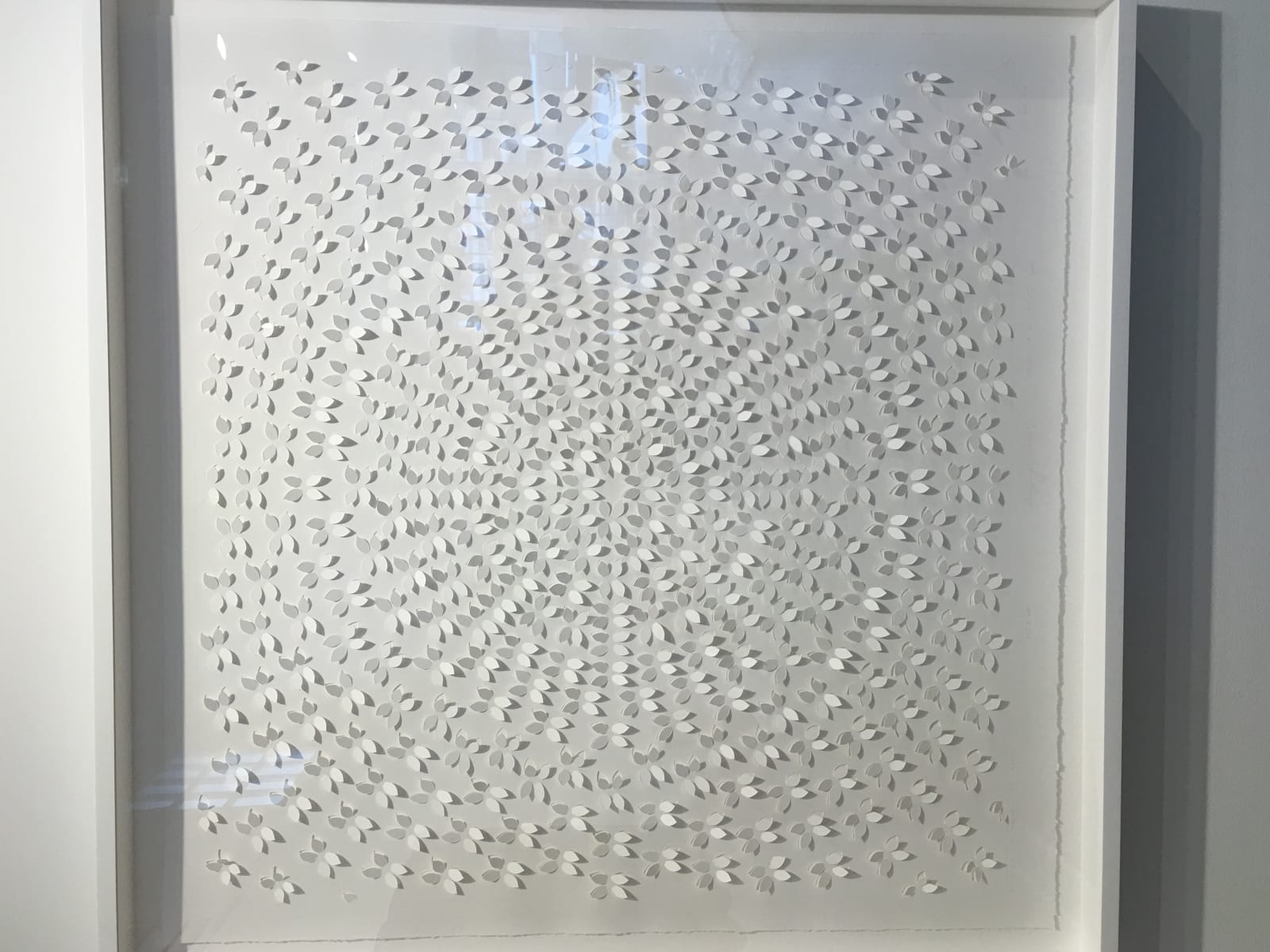 Jaq Belcher, Dragon Fly, 2015