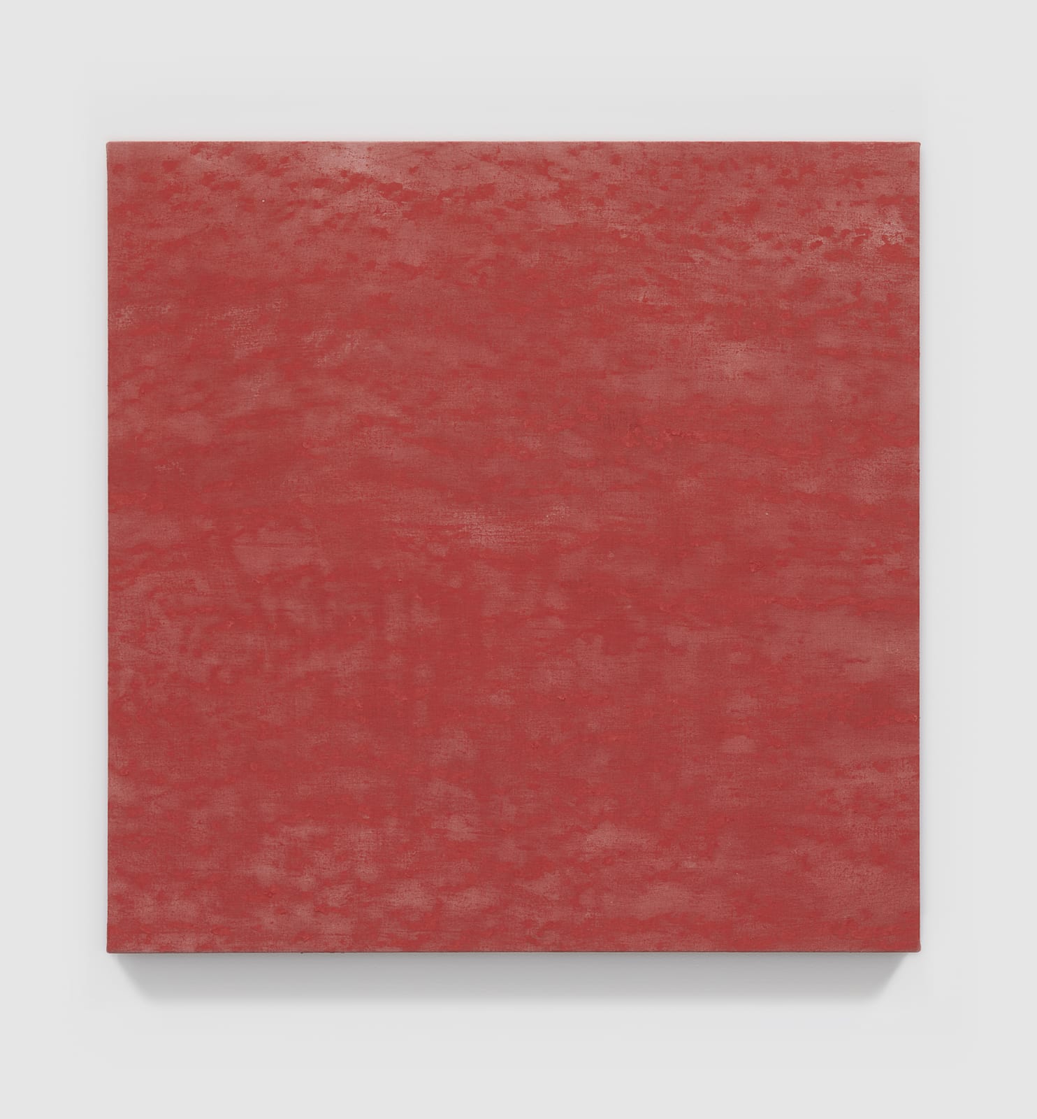 Kathleen Jacobs, WILMA, 2020