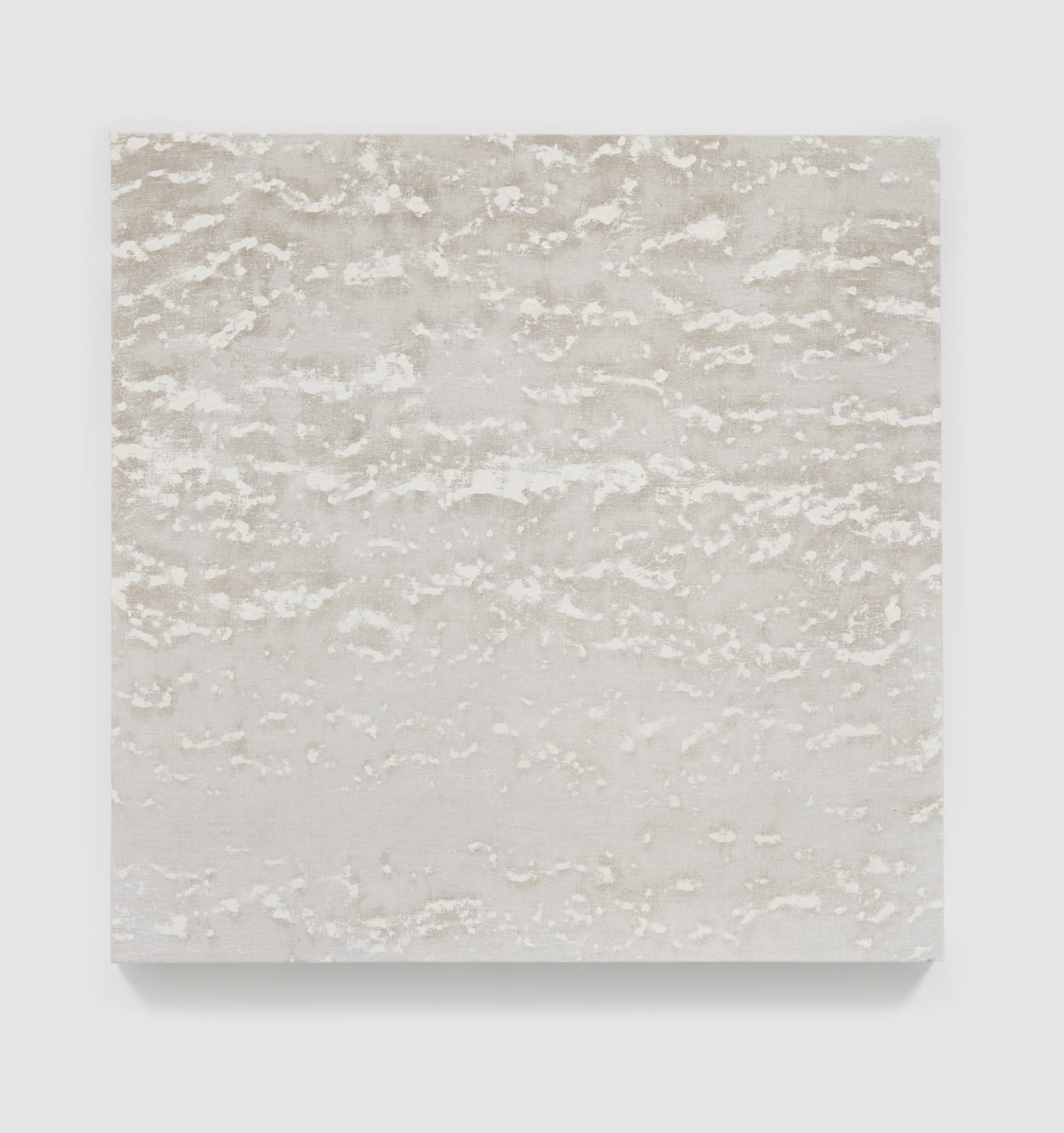 Kathleen Jacobs, ZOOLU, 2020