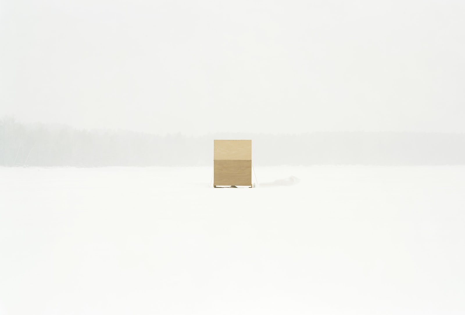 Scott Peterman, Spider Island II, 2002