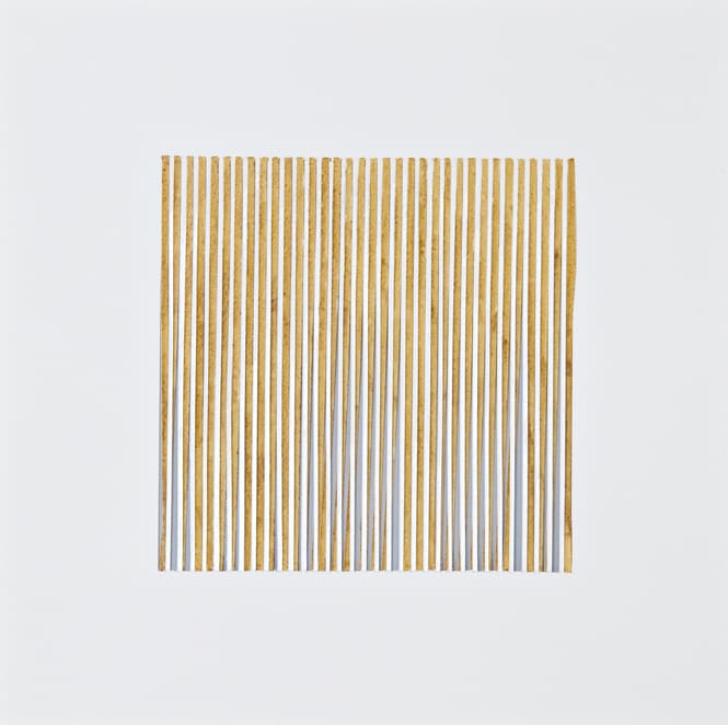 Viviane Rombaldi Seppey, Light 46, 2009