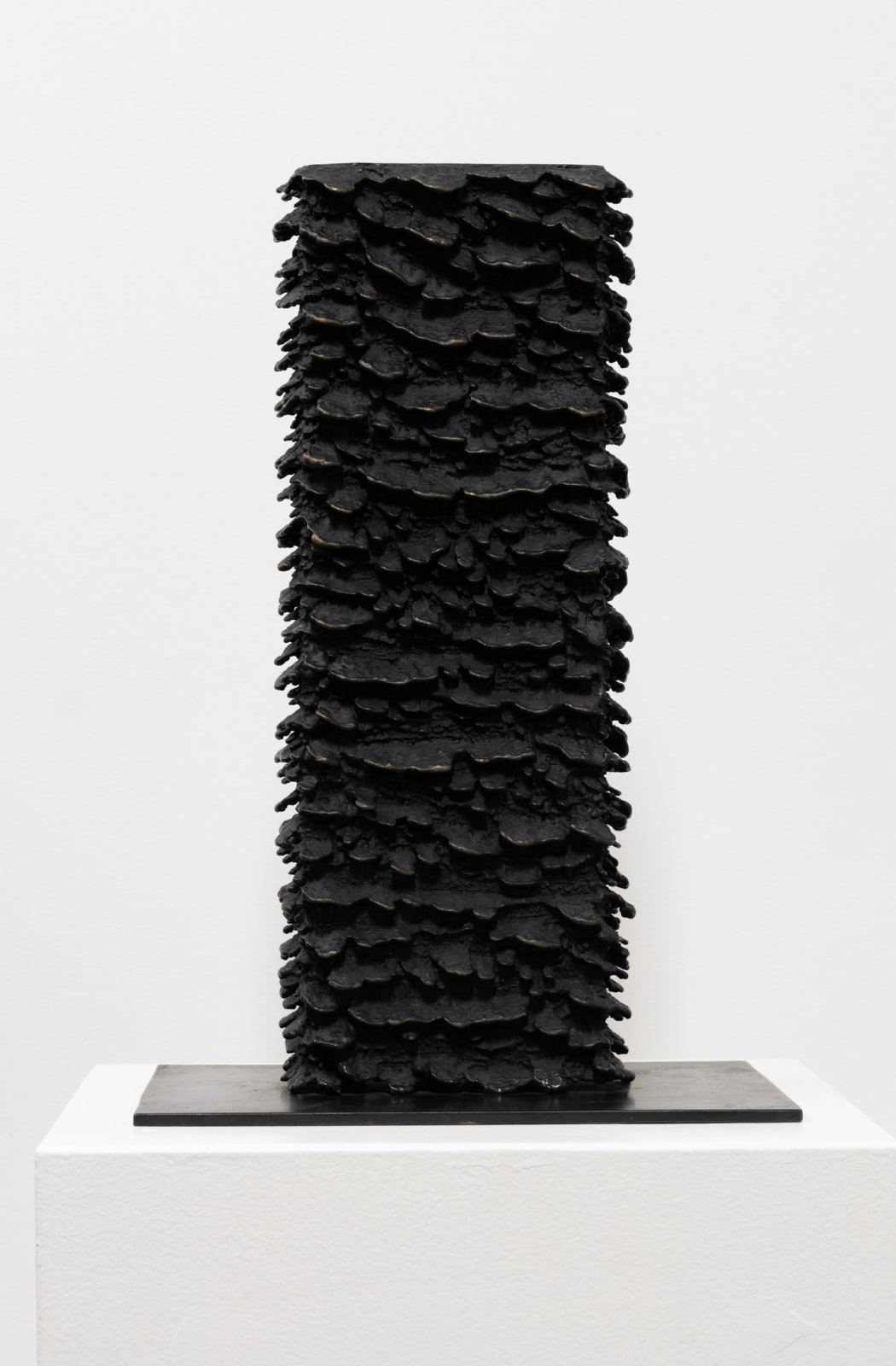 Martin Kline, Specimen (I), 2010