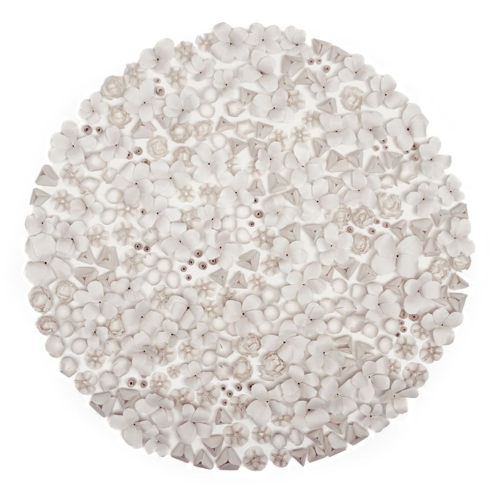 Valéria Nascimento, Flora, 2019