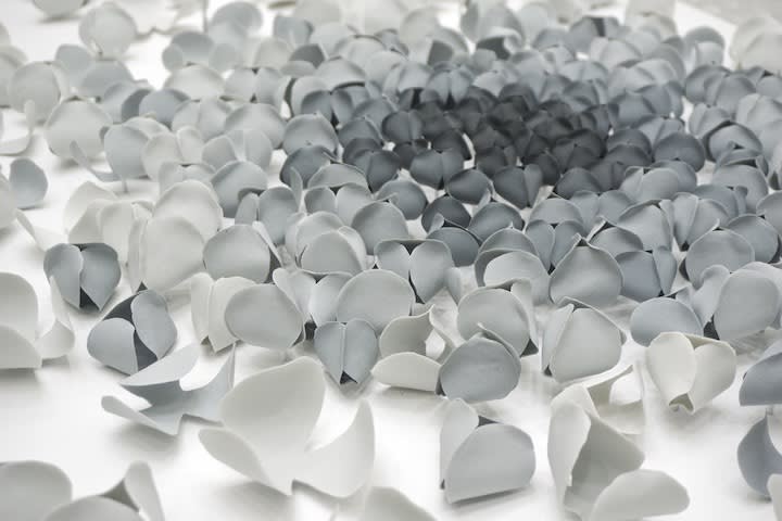 Valéria Nascimento, Gray Blossom, 2018