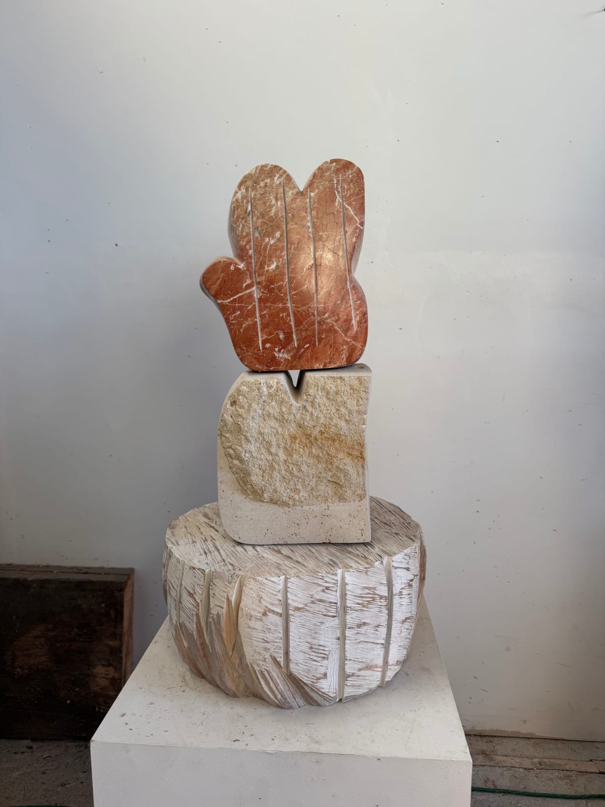 Nadia Yaron, Red Thistle, 2025