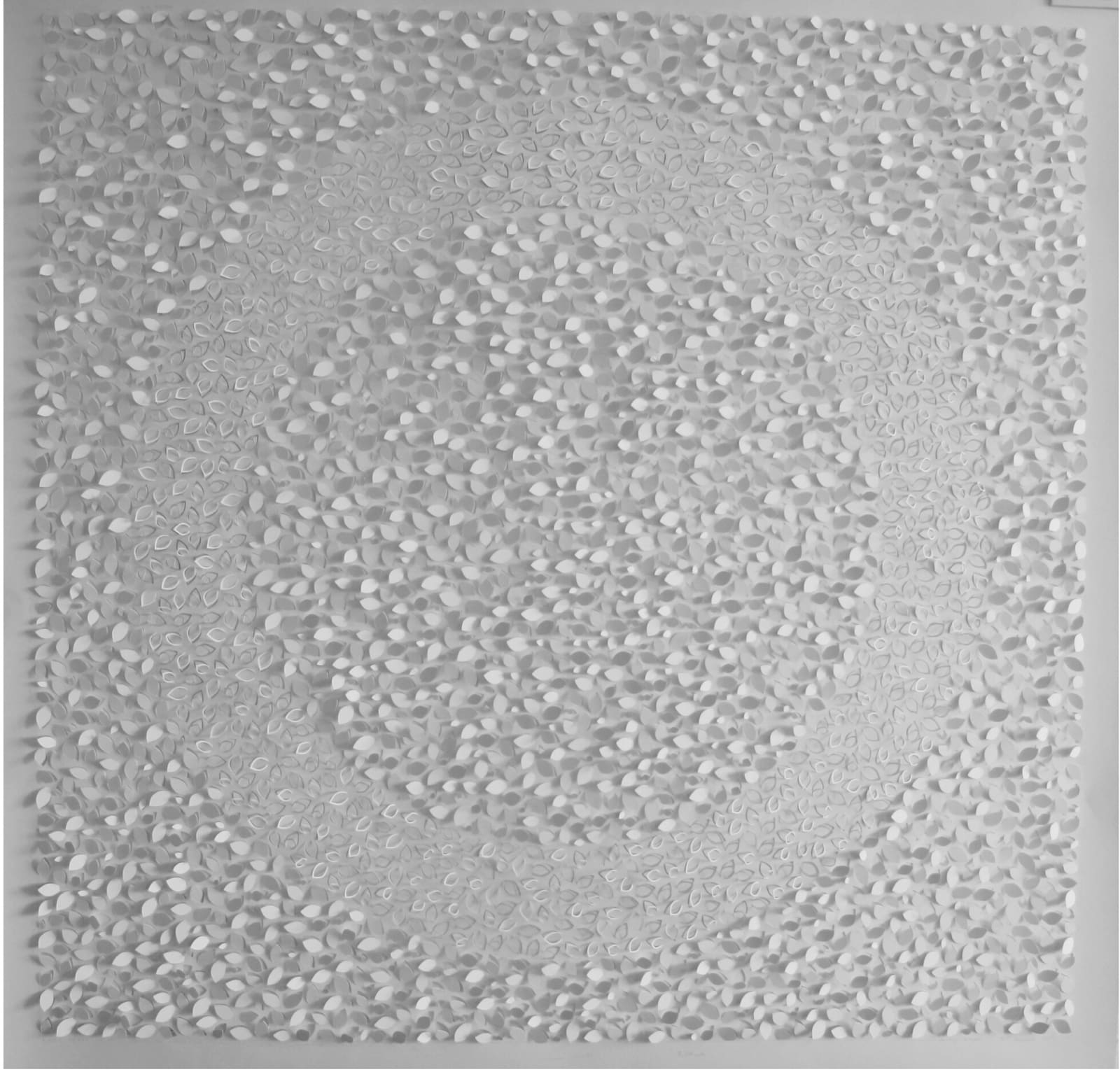 Jaq Belcher, Lions Gate, 2015