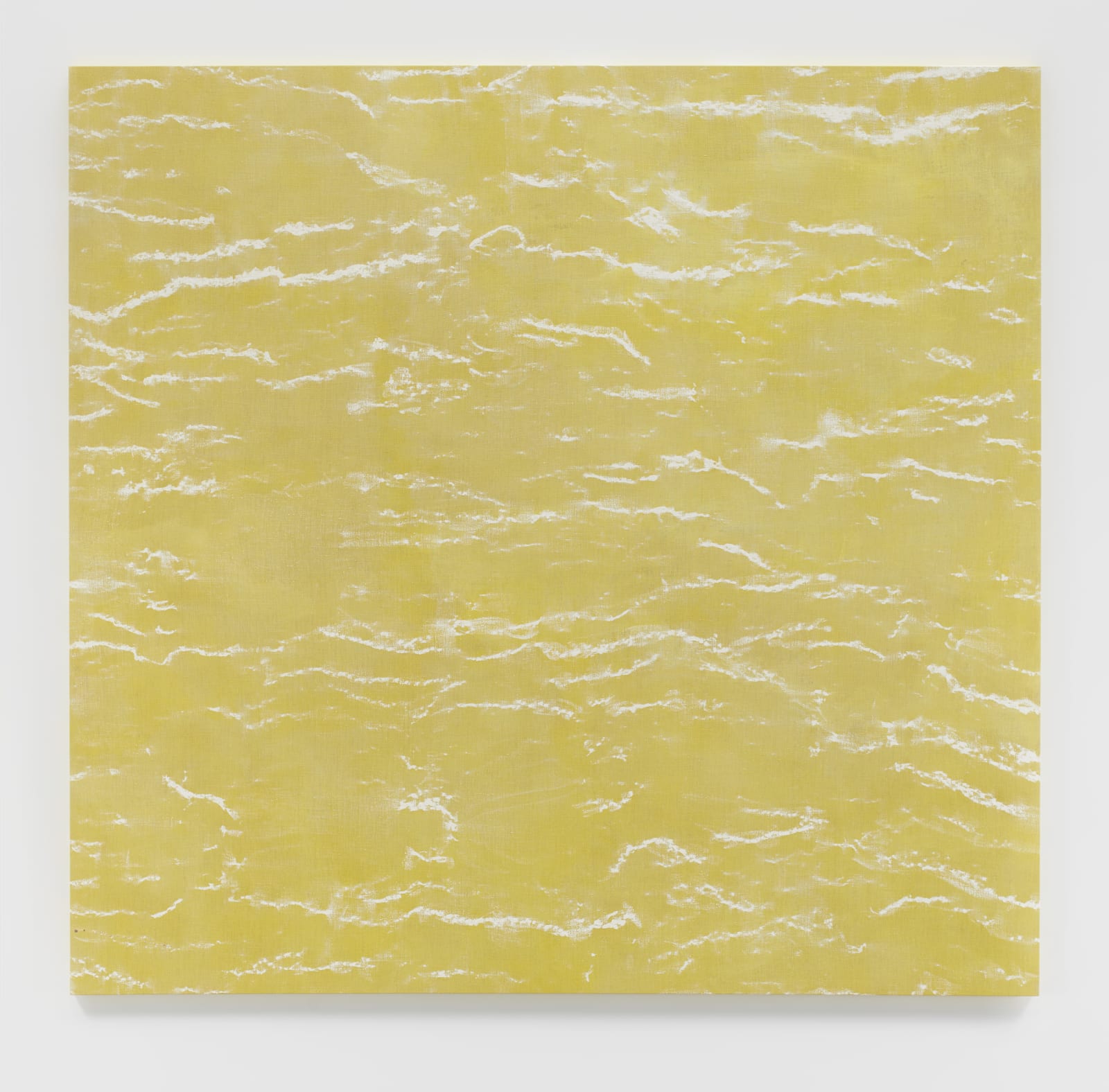 Kathleen Jacobs, PITAS, 2016