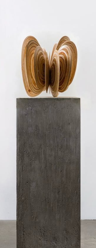 Norman Mooney, Butterfly Effect No. 1, 2024