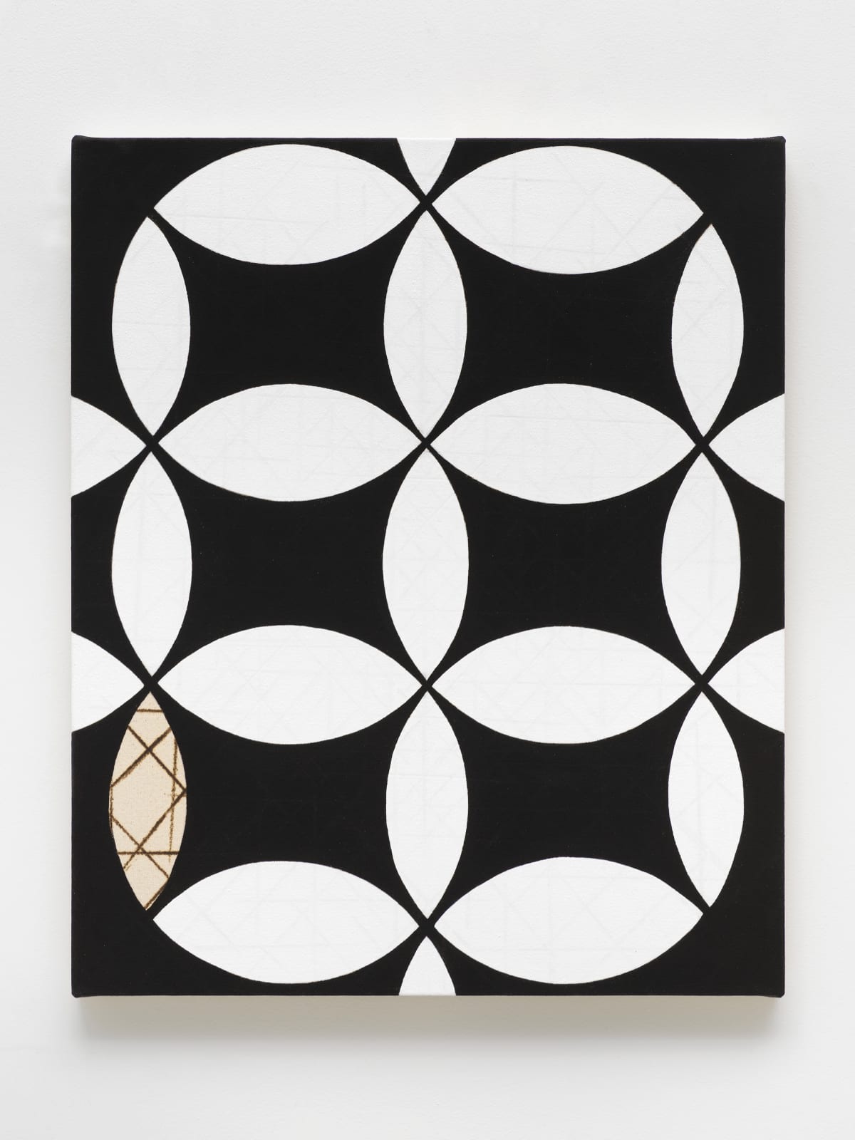 Kathleen Kucka, Black & White Cosmos, 2021