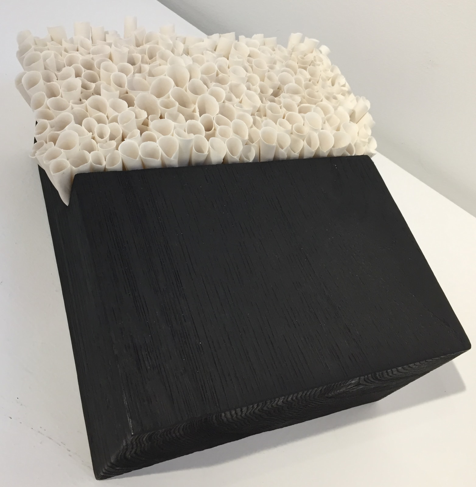 Valéria Nascimento, Coral Block, 2018