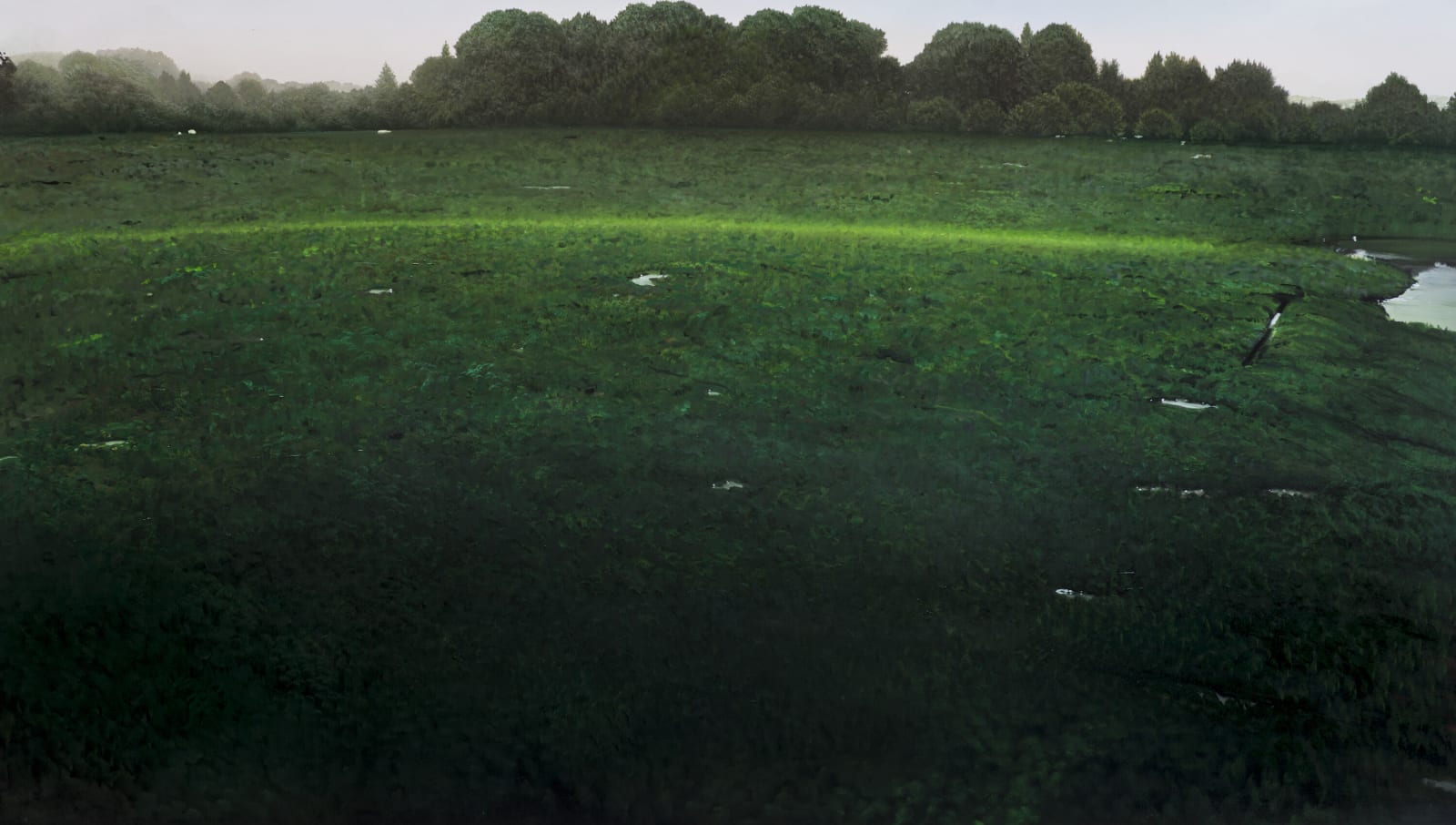 Tula Telfair, Disappearing into the Experience, 2016