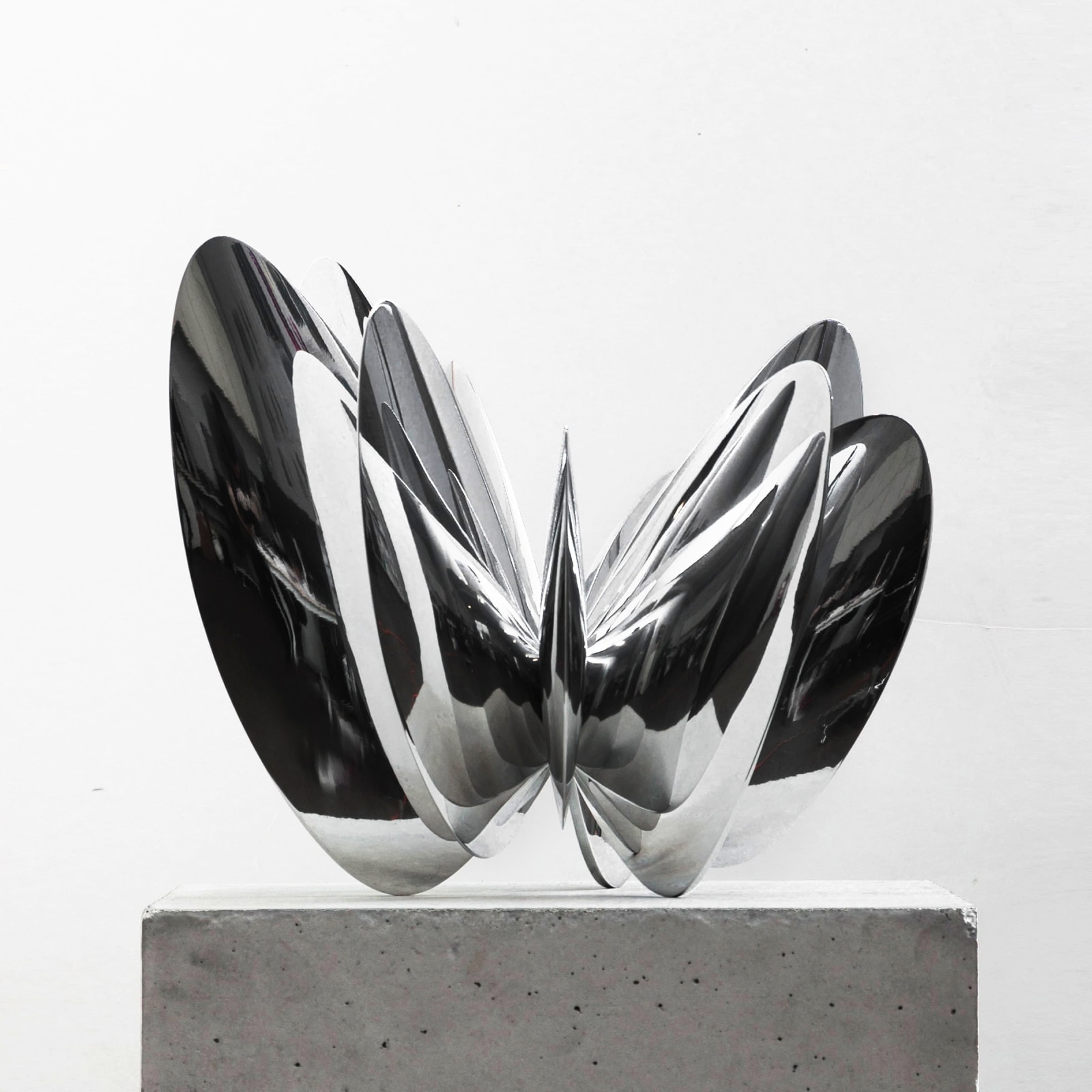 Norman Mooney, Butterfly Effect Edition No. 2, 2024