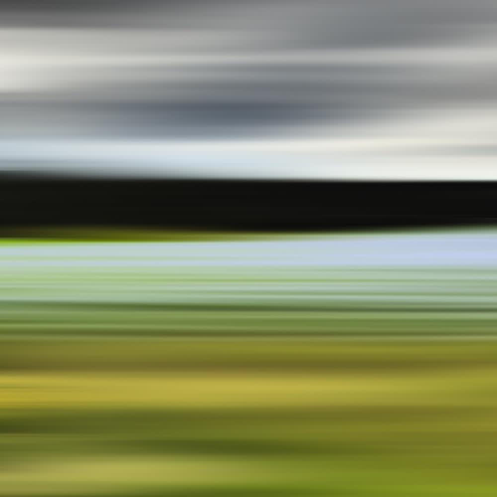 Bonnie Edelman, Blue Grass of Sweden
