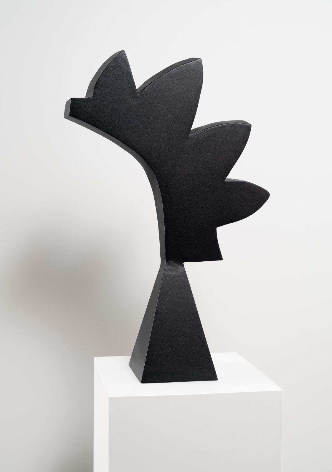 Charlie Hewitt, Rooster, 2010