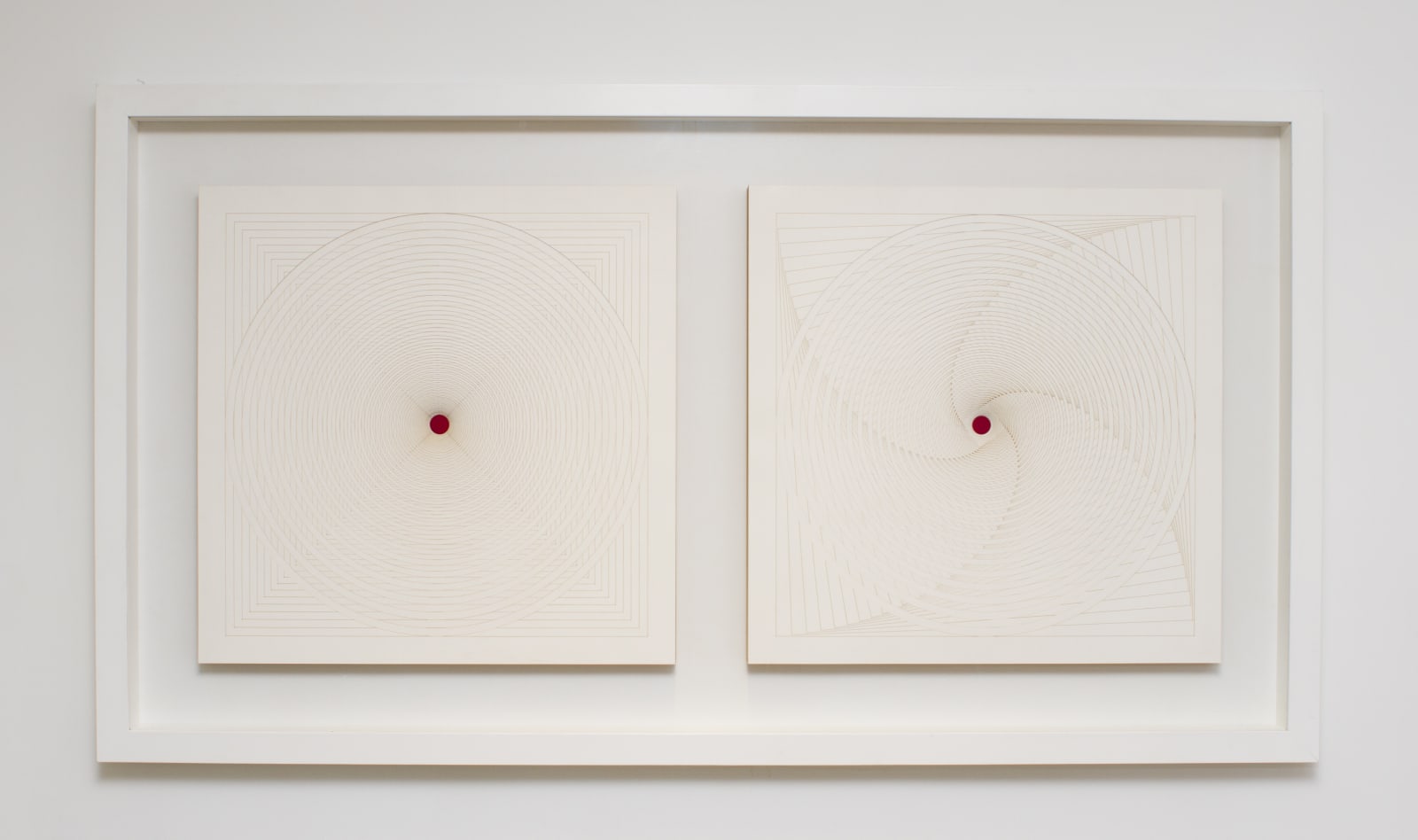 Seçkin Pirim, The Truth is Wrong, 2016