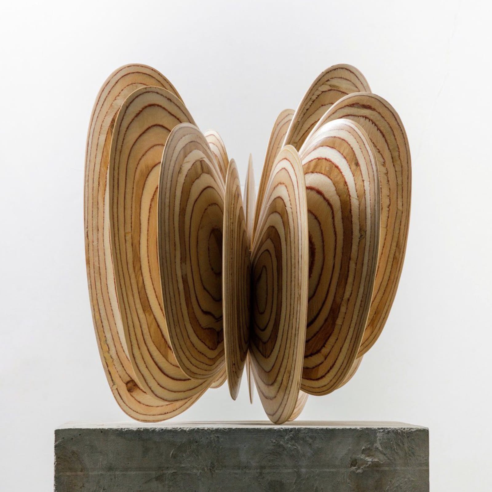 Norman Mooney, Butterfly Effect No. 1, 2024