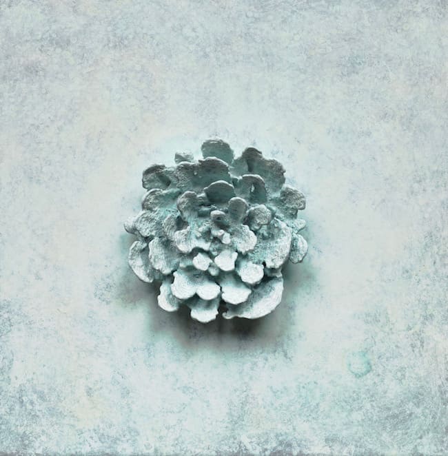 Martin Kline, Bronze Blossom (White), 2012