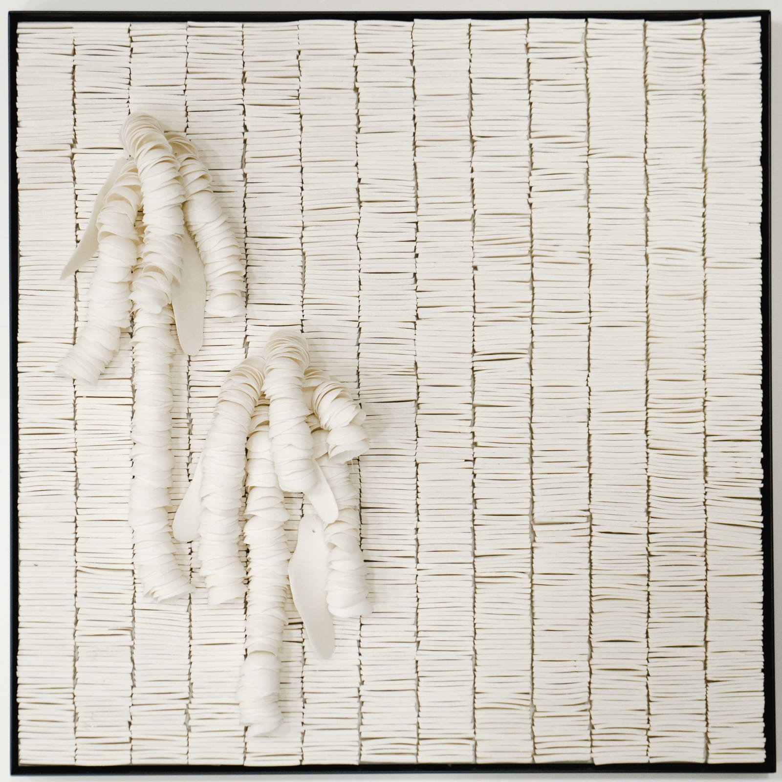 Lucas Ferreira, Amaranthus (in collaboration with Valéria Nascimento), 2022