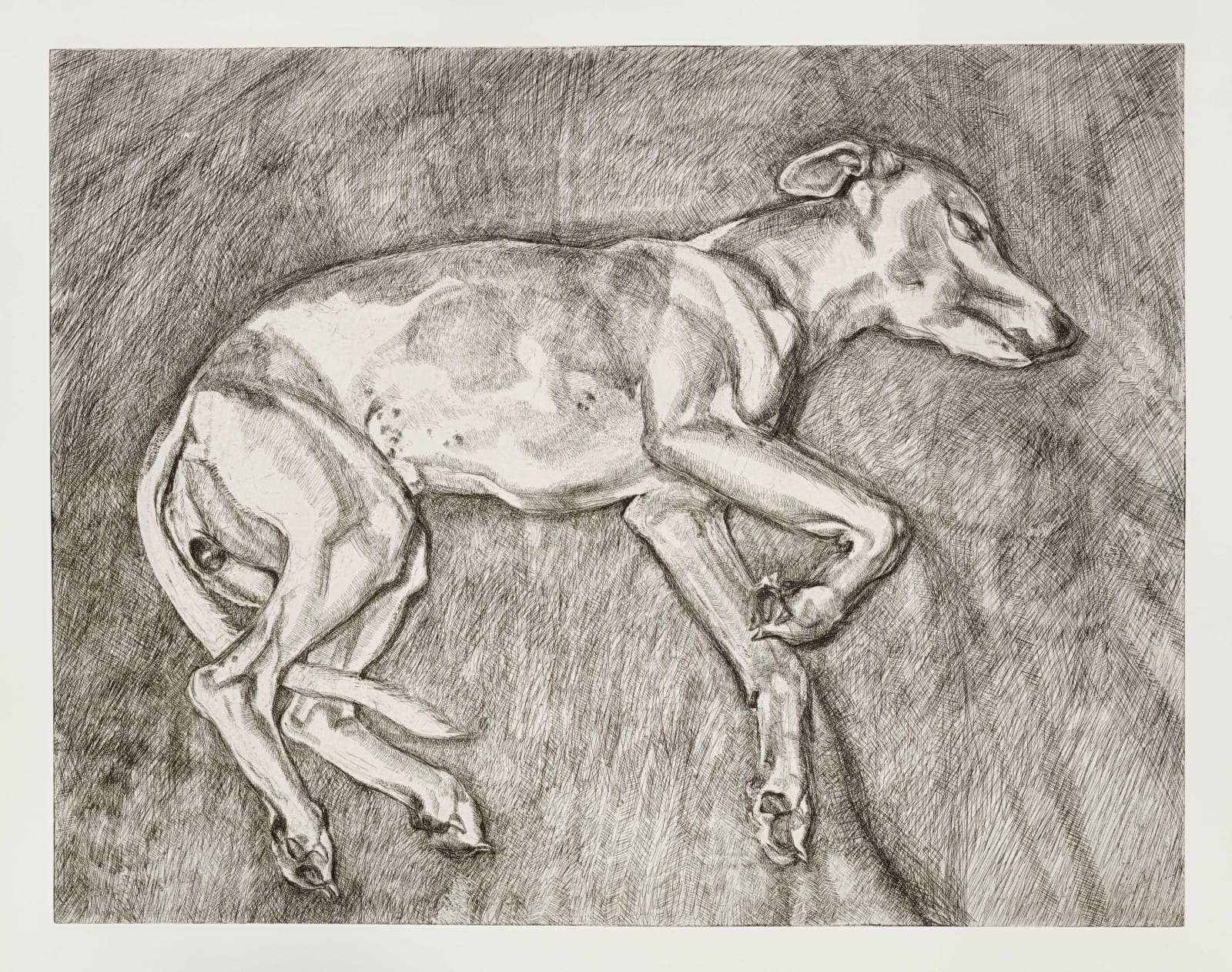 Lucian Freud, Eli, 2002