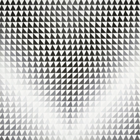 Bridget Riley, Burn, 1964