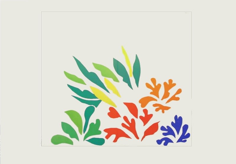 Henri Matisse, Acanthes , 1958