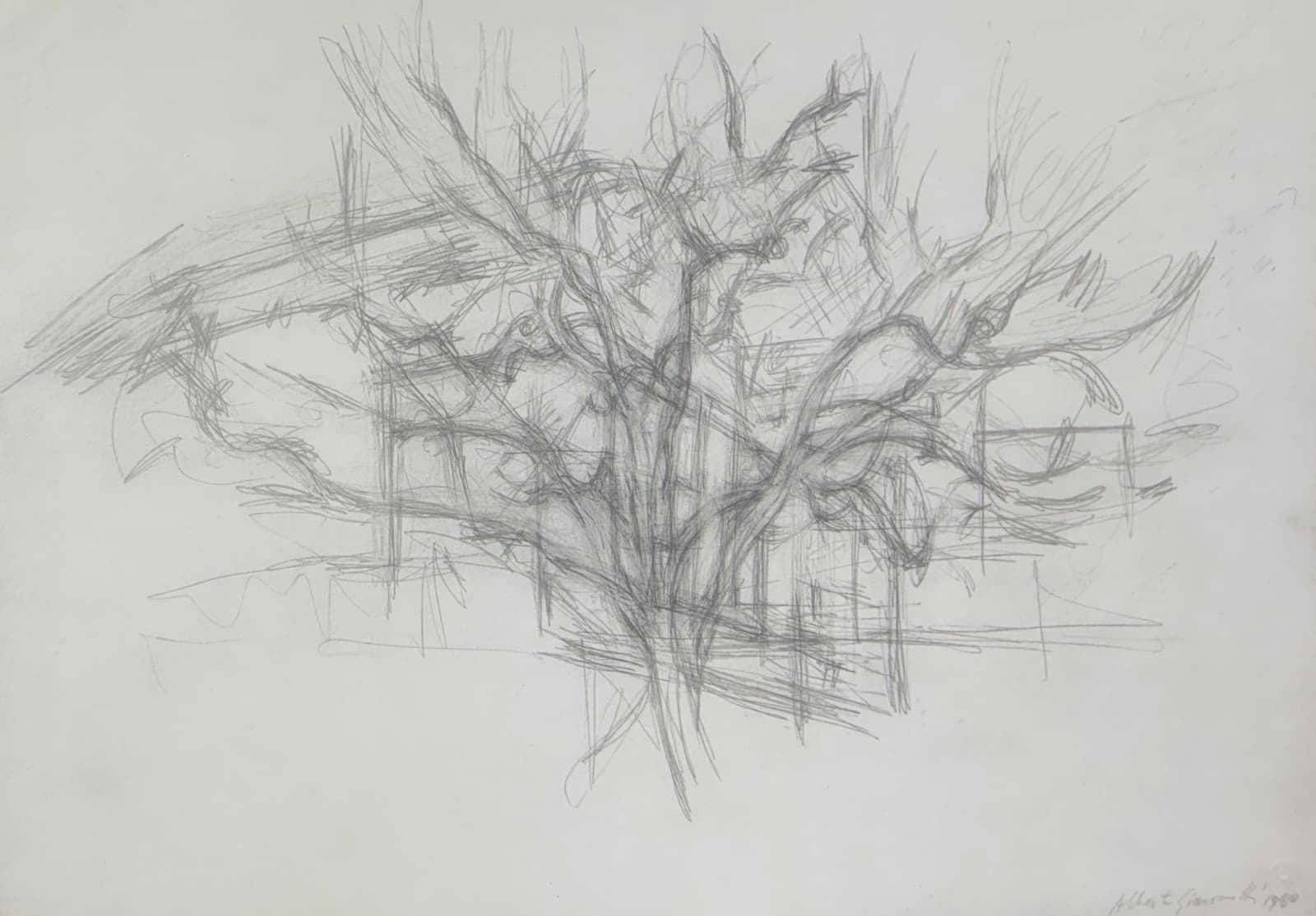 Alberto Giacometti, Albero (1950) from Quarantacinque Disegni di Alberto Giacometti, 1963