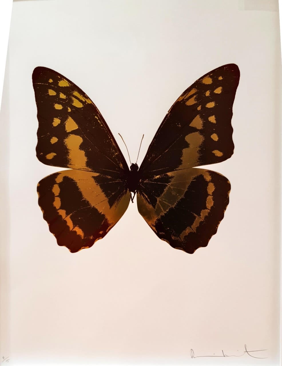Damien Hirst, Souls III, 2010