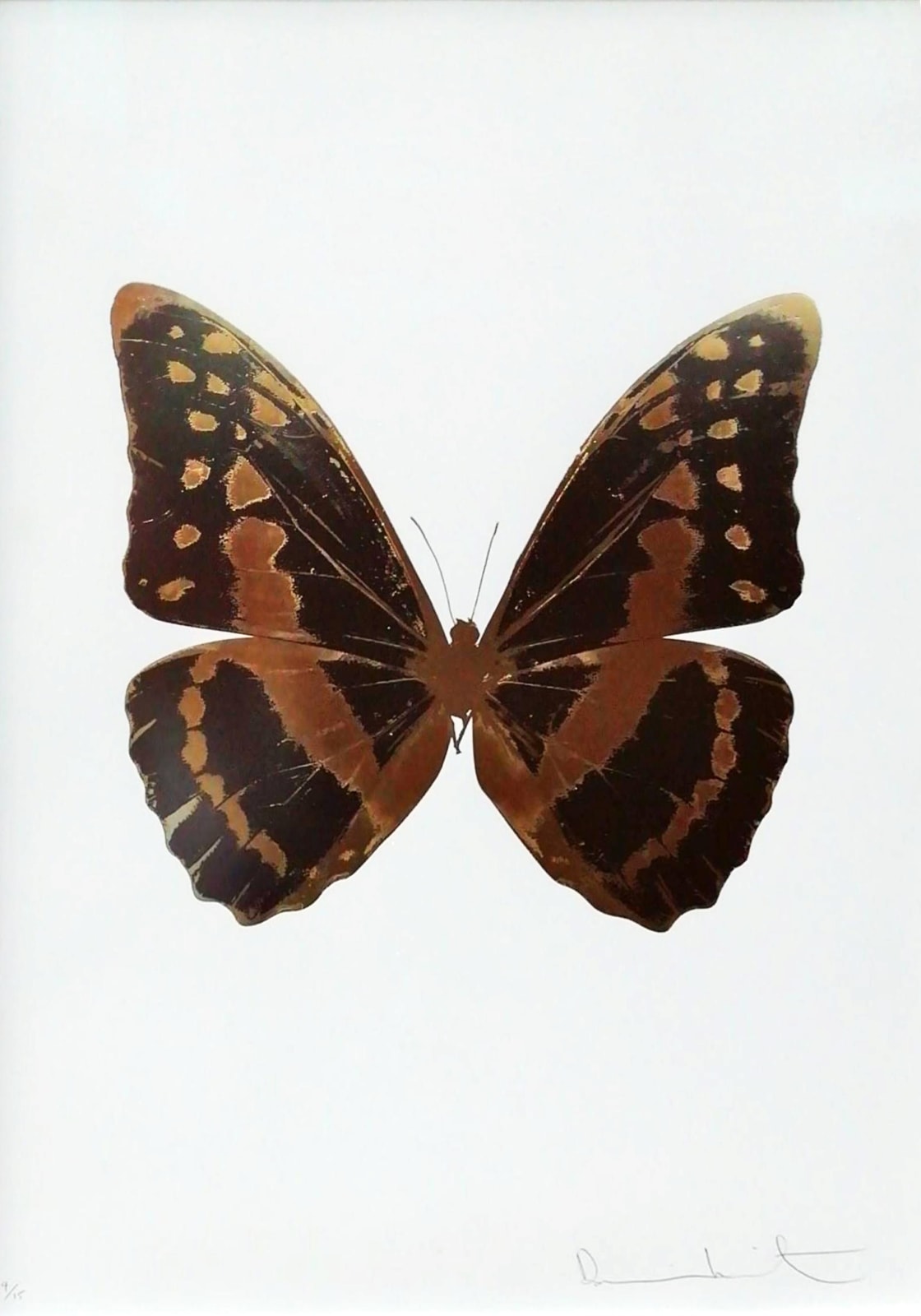 Damien Hirst, Souls III, 2010