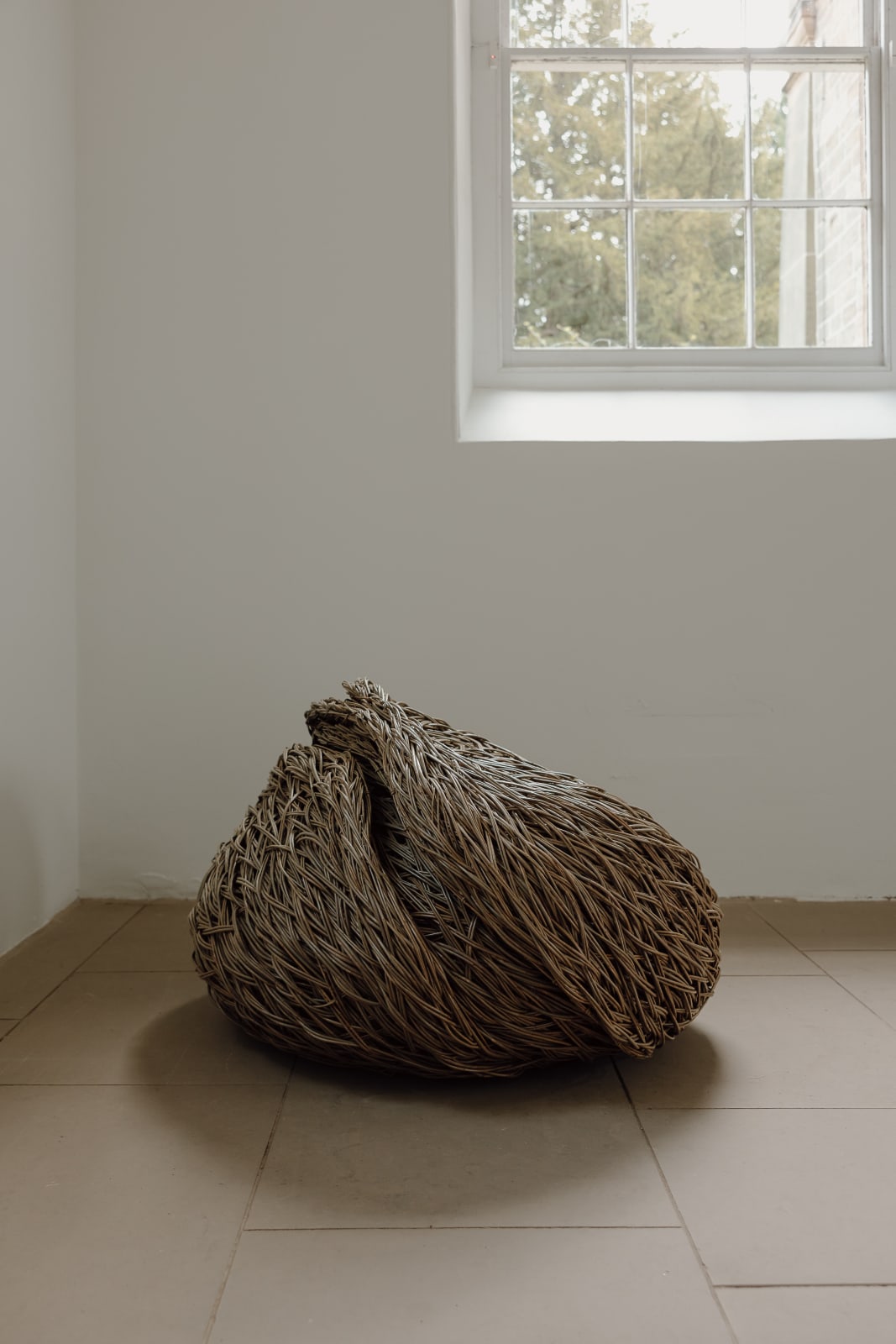 Laura Ellen Bacon, Companion, 2024