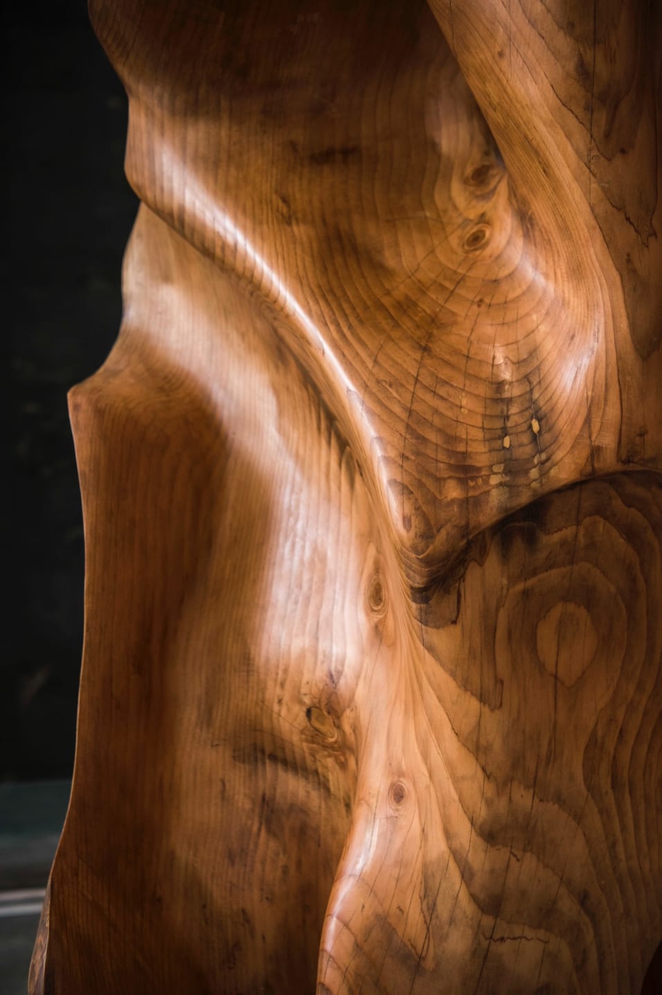 Helaine Blumenfeld OBE, Aurora, 2019