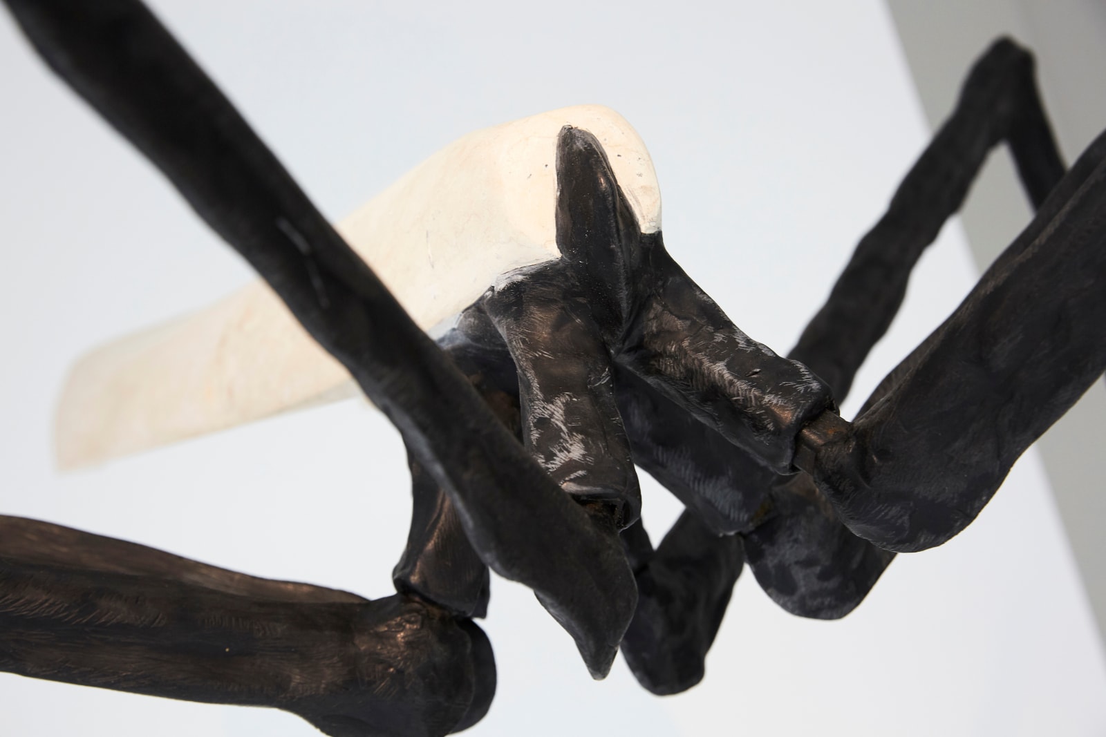 Vanessa Paschakarnis, Erdschnaken (Crane Flies) I-IV, 2015