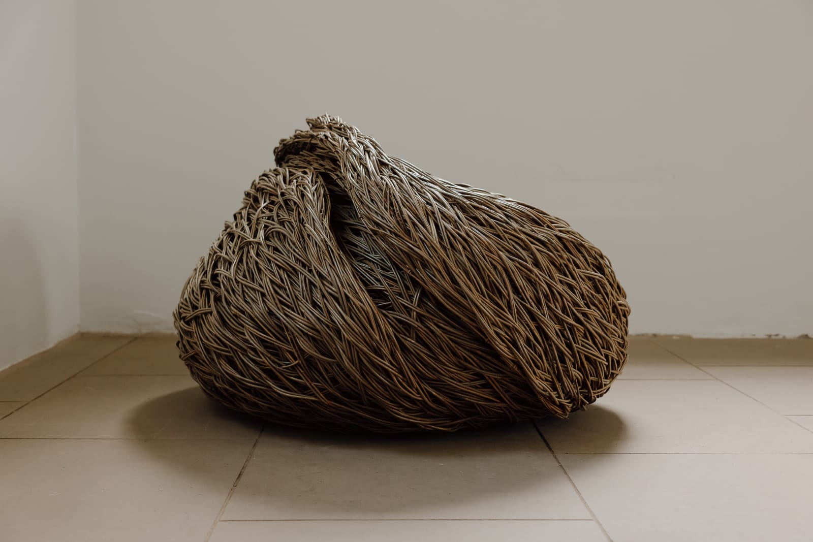 Laura Ellen Bacon, Companion, 2024