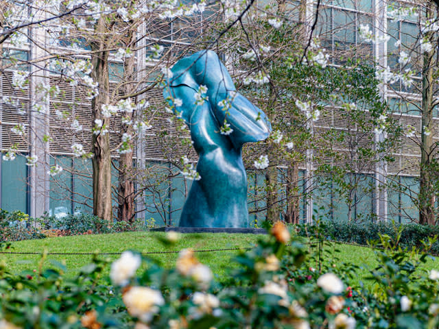 Helaine Blumenfeld OBE, Ascent, 2007