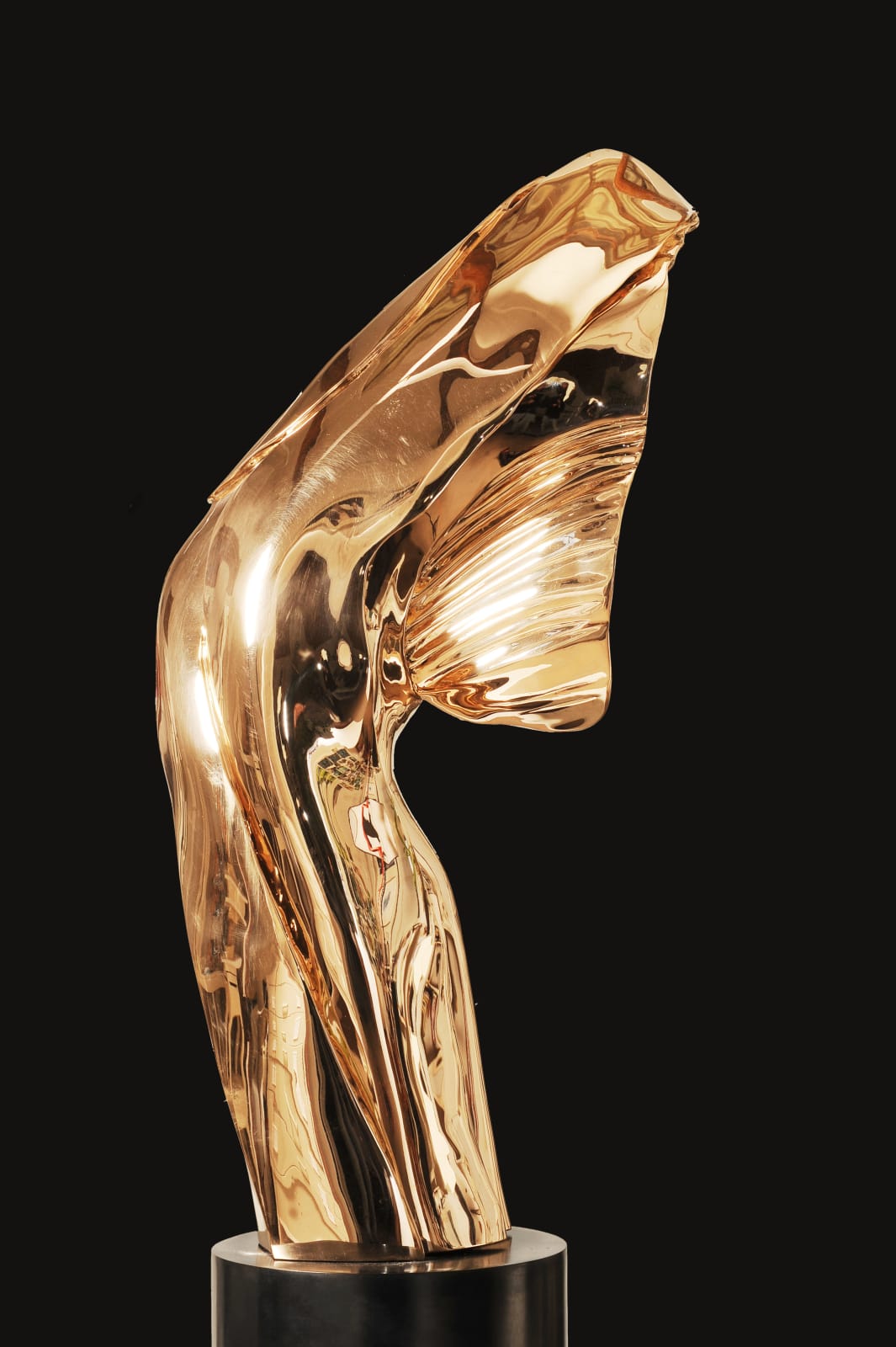 Helaine Blumenfeld OBE, Esprit II, 2010