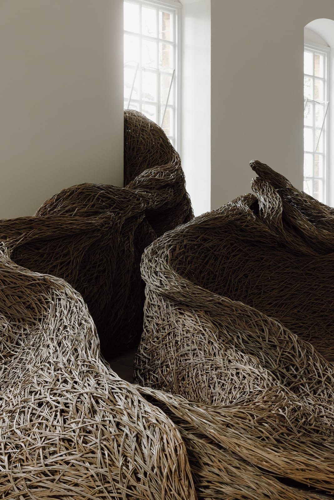 Laura Ellen Bacon, Into Being, 2025