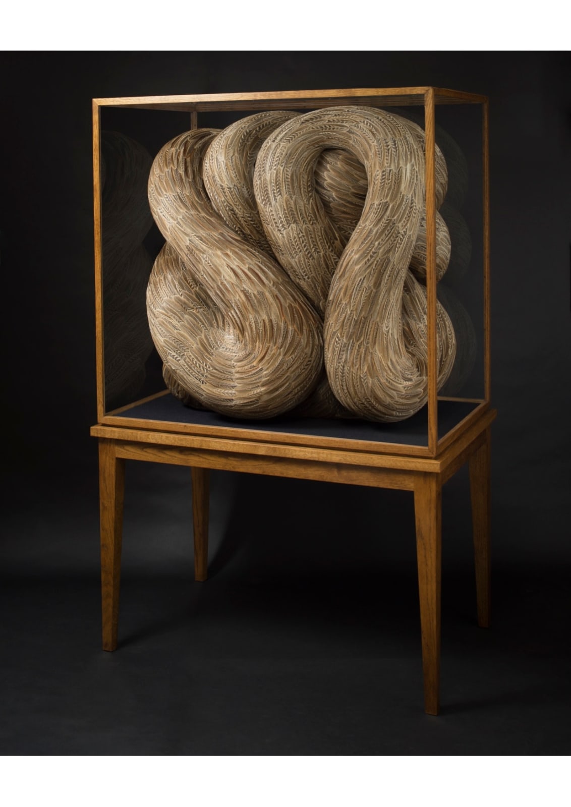 Kate MccGwire, Gyrus, 2019