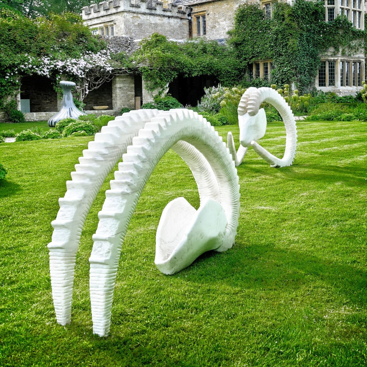 Vanessa Paschakarnis, Capricorno 1, 2017