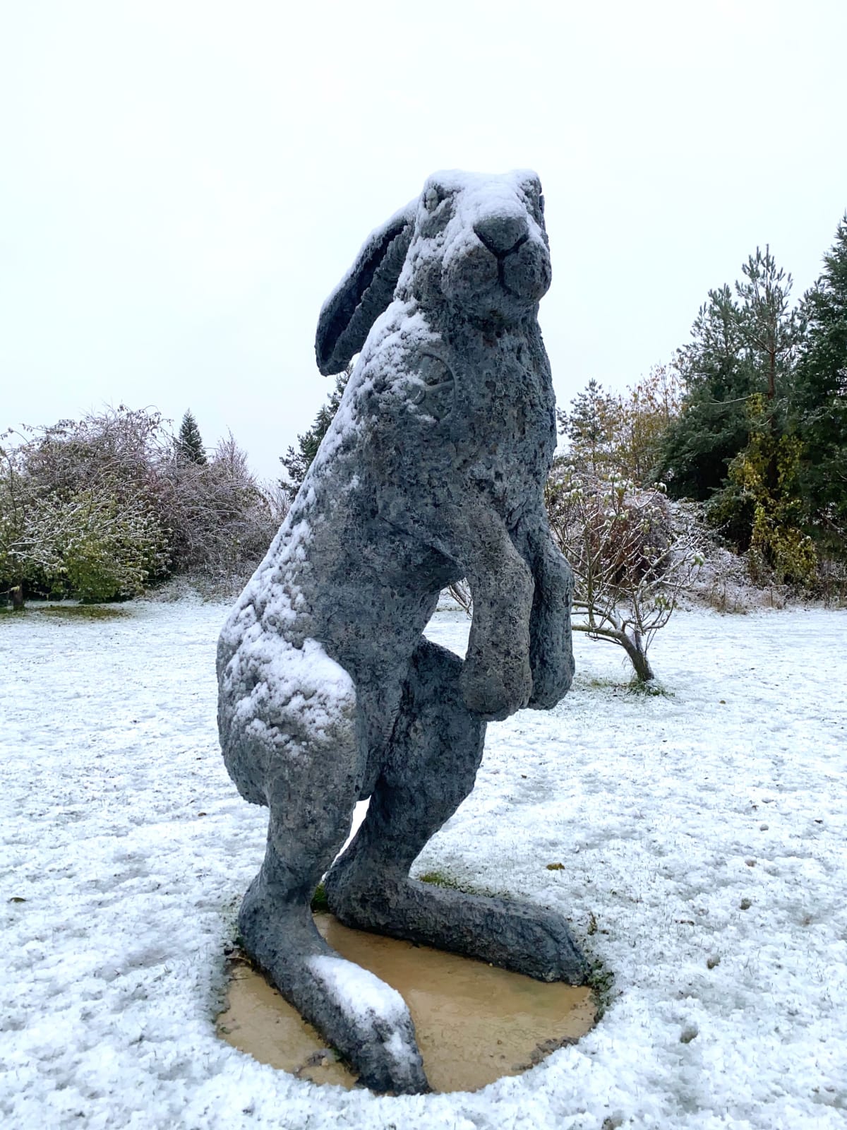 Sophie Ryder, Aussie Earl, 1996, cast 2018
