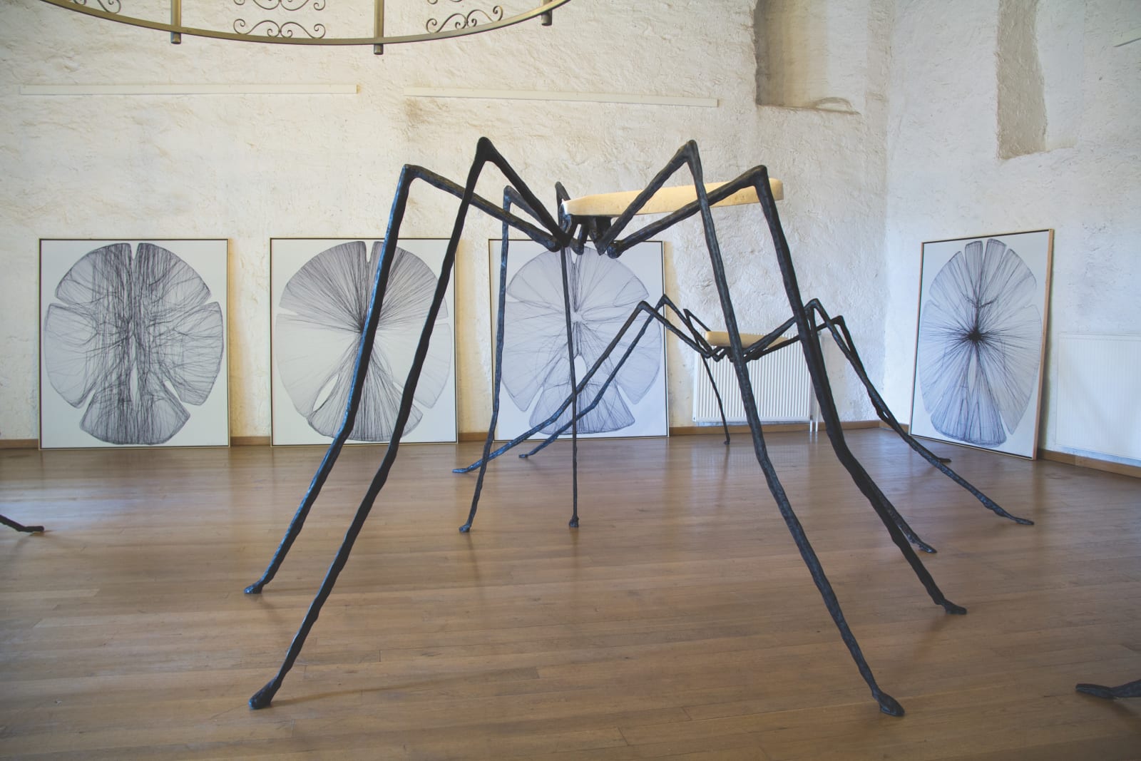 Vanessa Paschakarnis, Erdschnaken (Crane Flies) I-IV, 2015