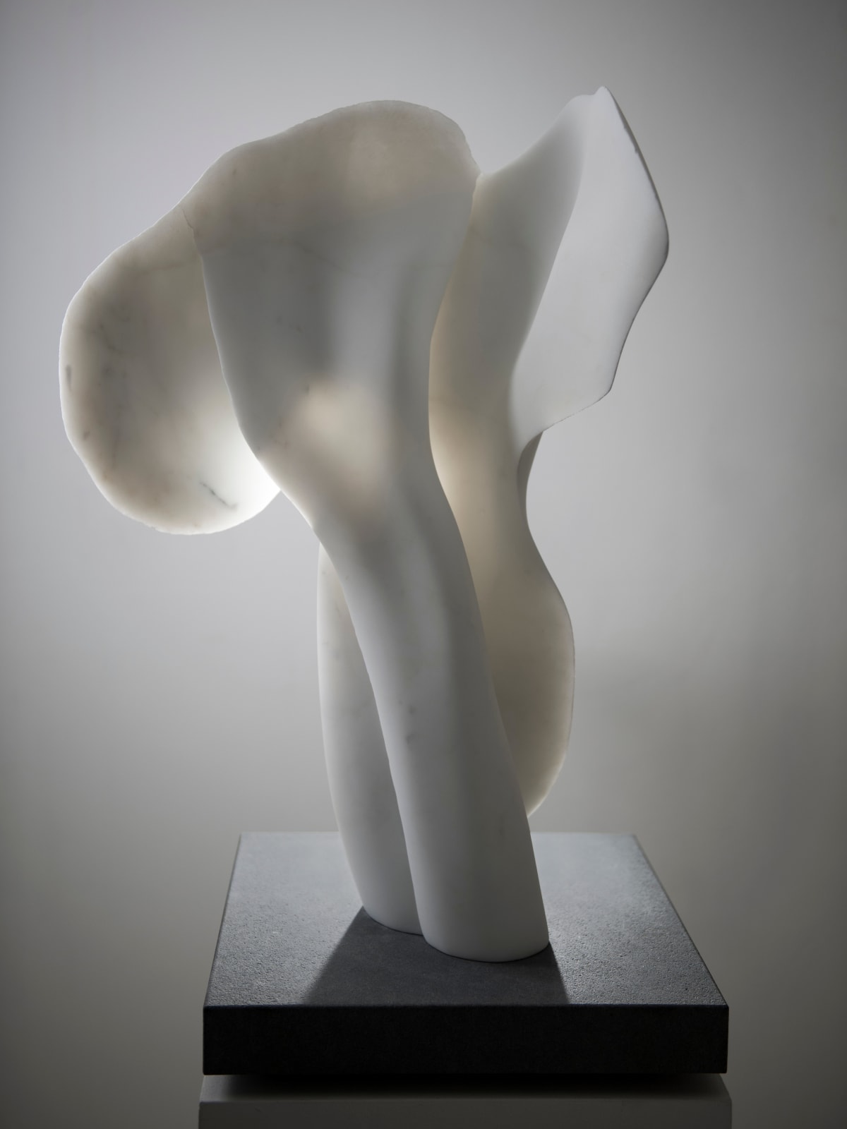 Helaine Blumenfeld OBE, Tree of Life: Harmony , 2016