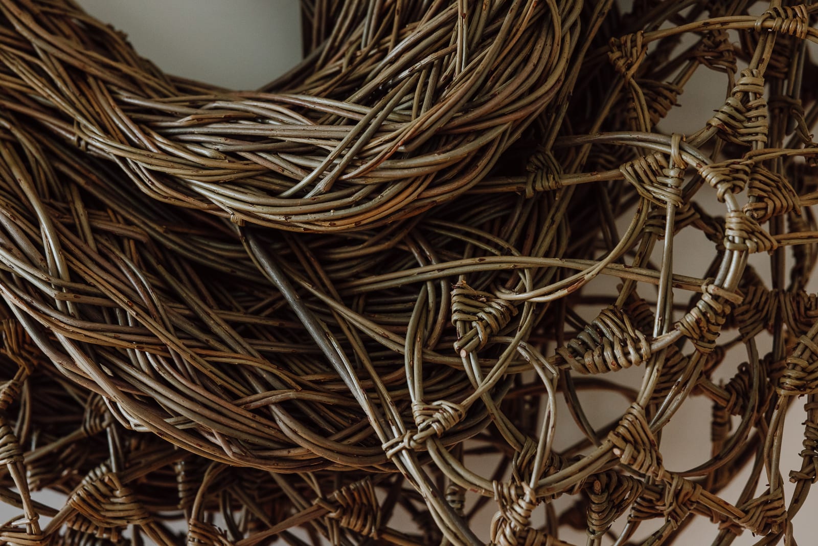 Laura Ellen Bacon, Contact, 2021