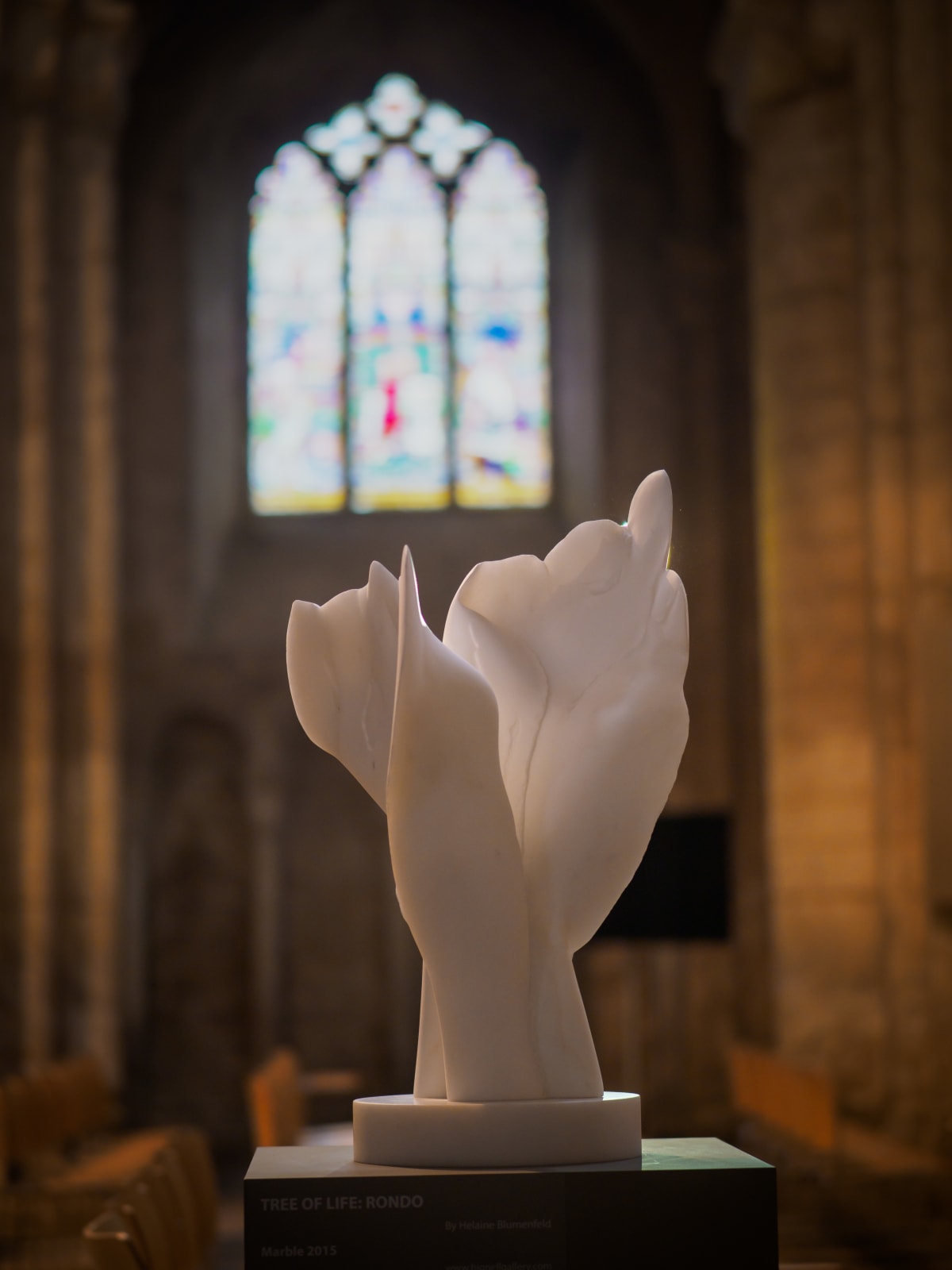 Helaine Blumenfeld OBE, Tree of Life, 2010