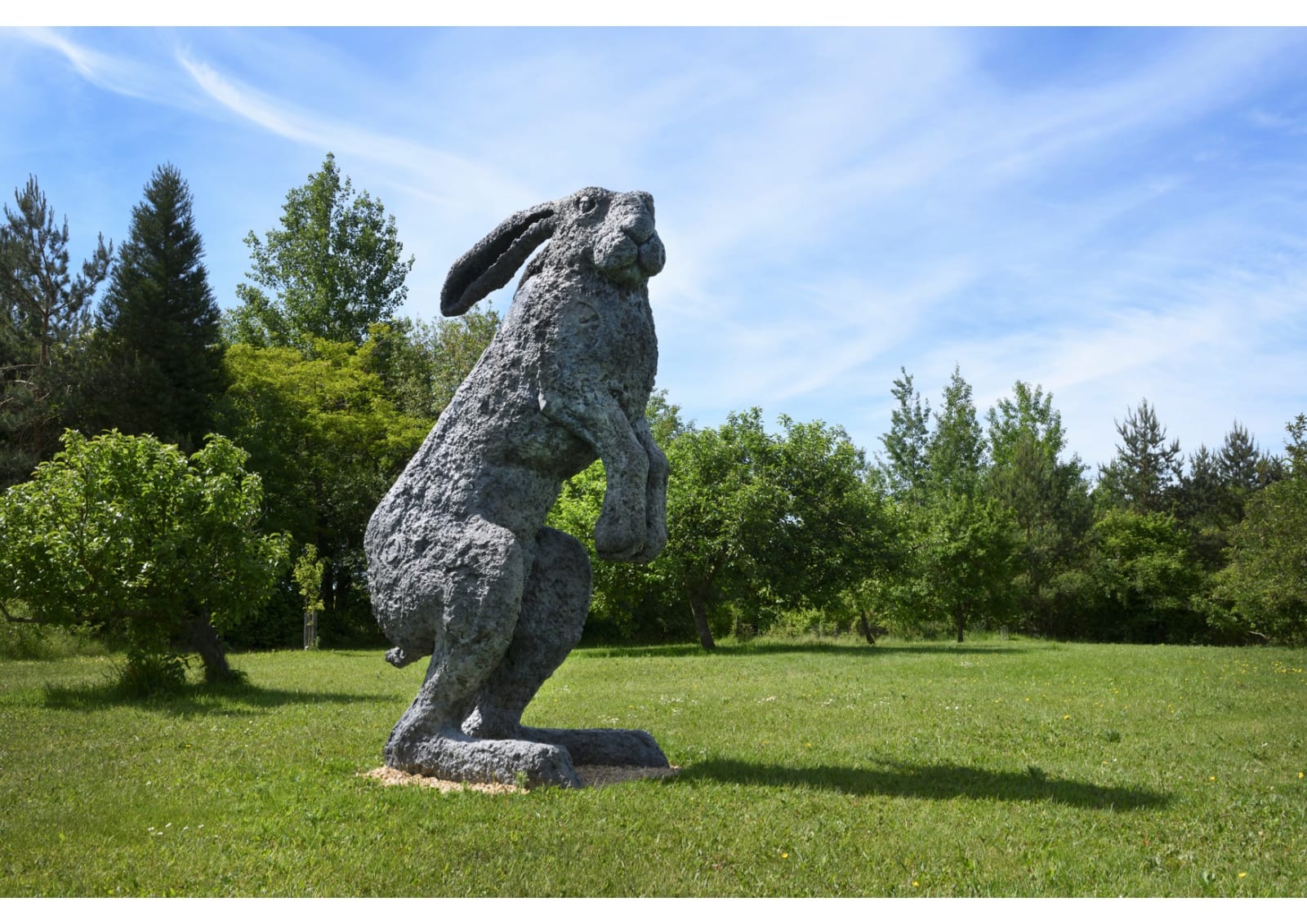 Sophie Ryder, Aussie Earl, 1996, cast 2018