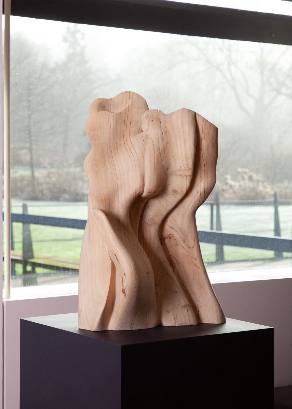 Helaine Blumenfeld OBE, Together: Hope , 2022