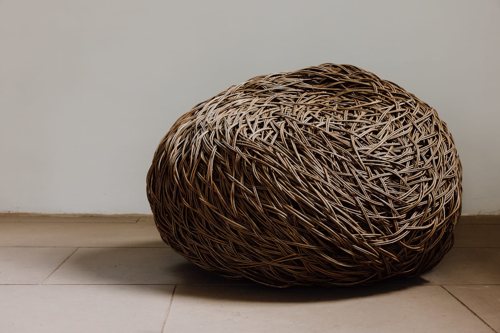 Laura Ellen Bacon, Companion, 2024