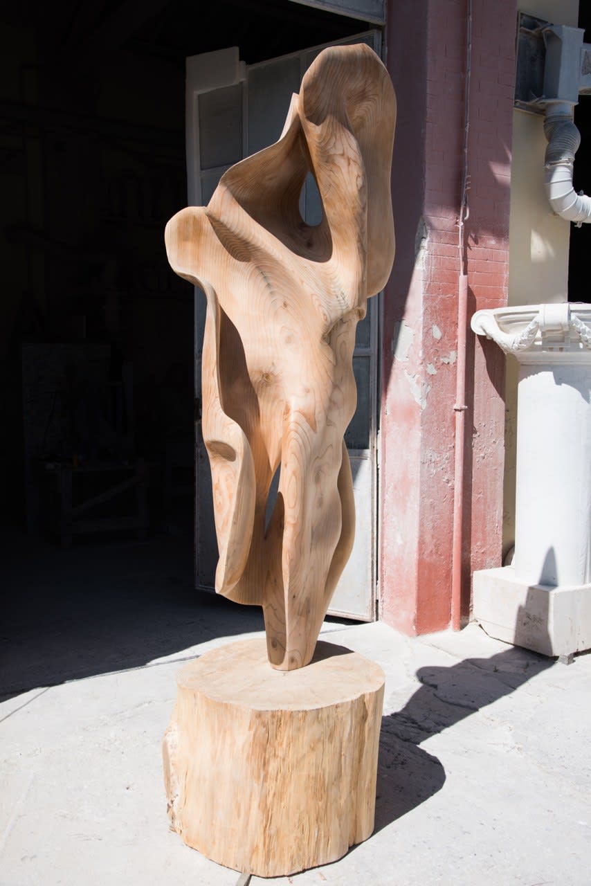 Helaine Blumenfeld OBE, Aurora, 2019